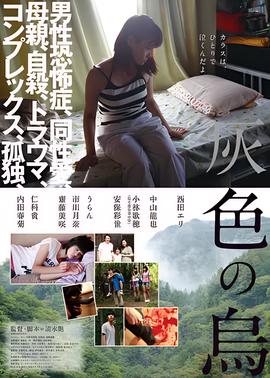 灰色乌鸦