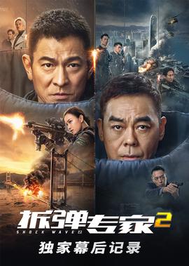 拆弹专家2