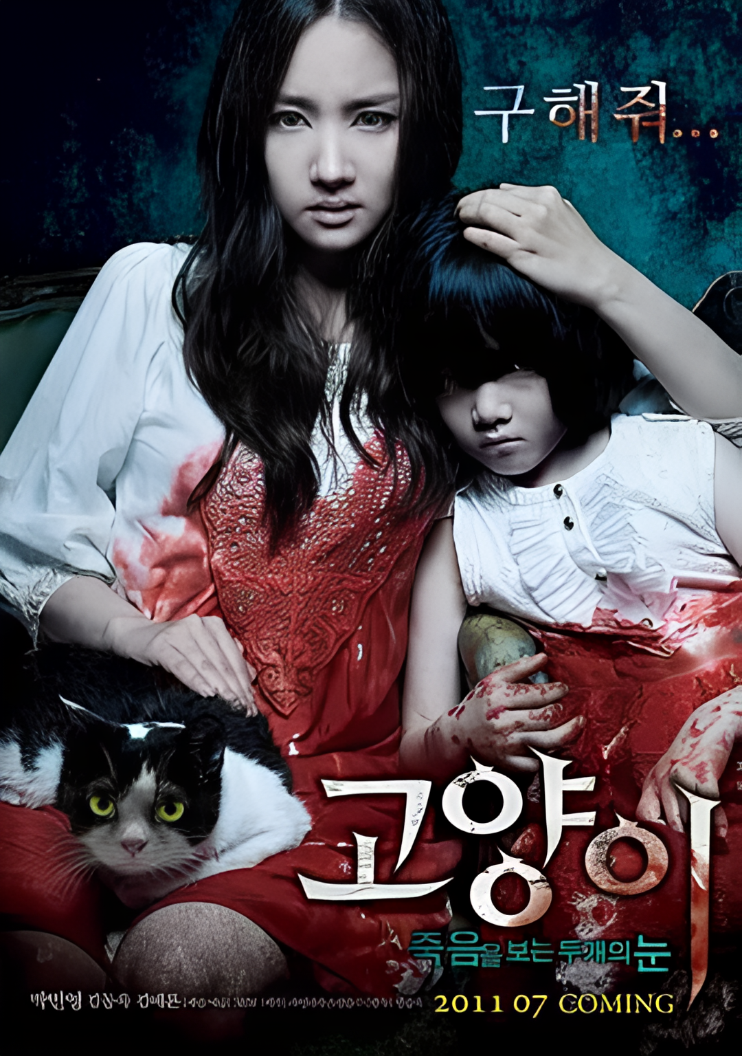 猫：看见死亡的双眼