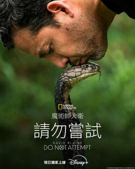 大卫·布雷恩：请勿尝试