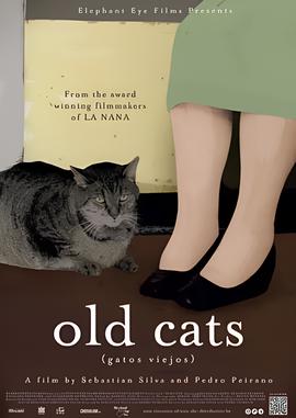 老猫