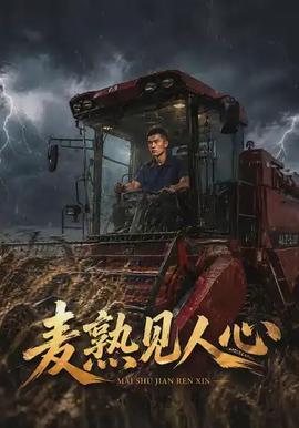 麦熟见人心